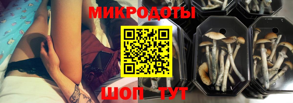 Псилоцибиновые грибы Psilocybe  где купить наркоту  Краснодар  Вход с VPN 