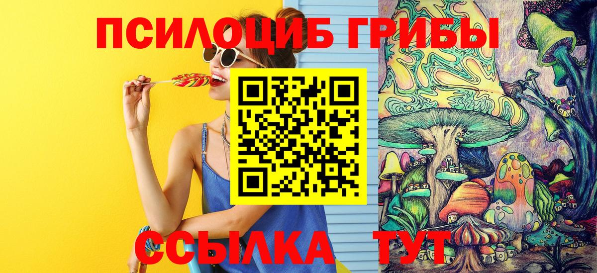 Псилоцибиновые грибы ЛСД Краснодар